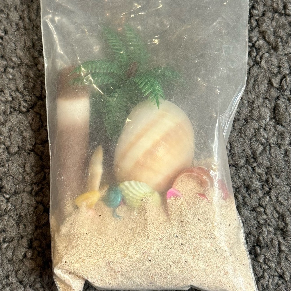 Bahamas Sand & Fun in a Bag Beach Front Property Instant Summer New